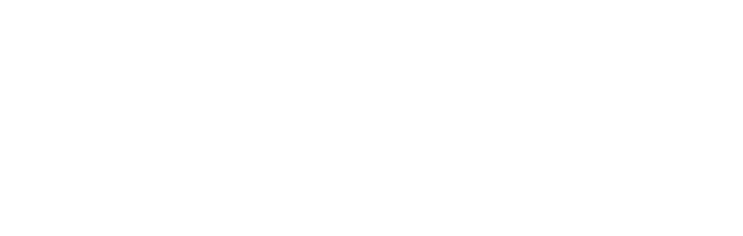 Boar Developer